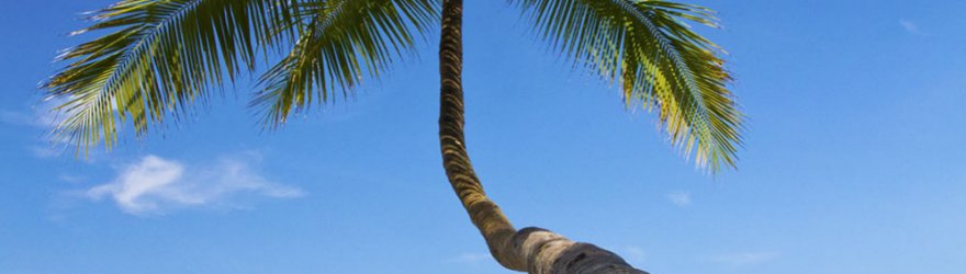 "We take pride in what we do"